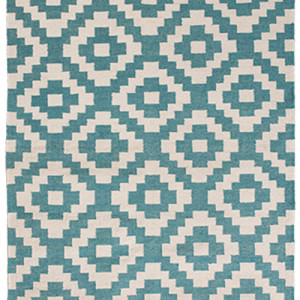 Aqua Outside Indoor Rug